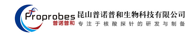 DNA合成_RNA合成_OLIGO_引物合成_核酸_昆山普诺普和生物科技有限公司